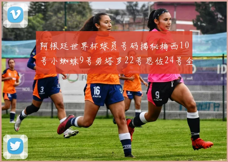 阿根廷世界杯球员号码揭秘梅西10号小蜘蛛9号劳塔罗22号恩佐24号全解析