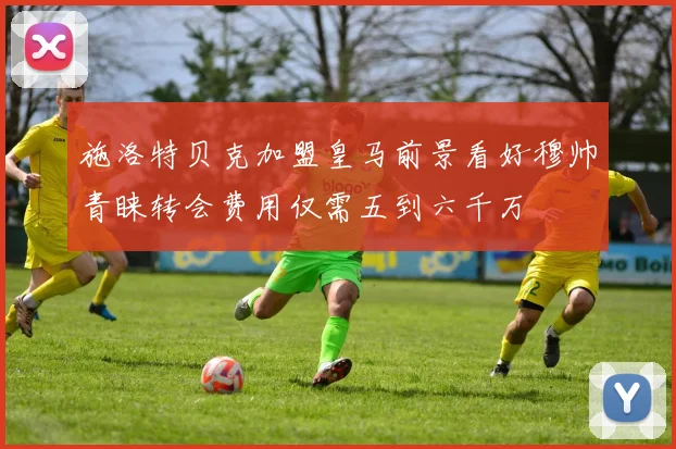 施洛特贝克加盟皇马前景看好穆帅青睐转会费用仅需五到六千万