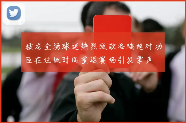 猛龙全场球迷热烈致敬洛瑞绝对功臣在垃圾时间重返赛场引发掌声